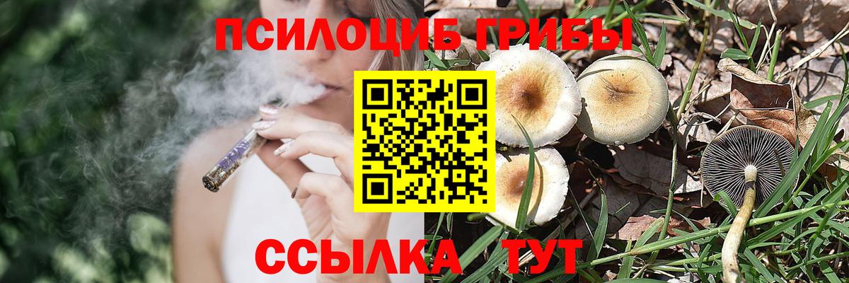 Галлюциногенные грибы MAGIC MUSHROOMS Севастополь