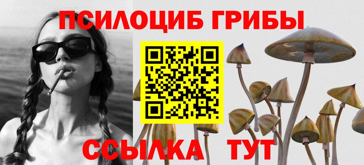 Севастополь  купить  сайты  Вход с VPN  Псилоцибиновые грибы Cubensis 