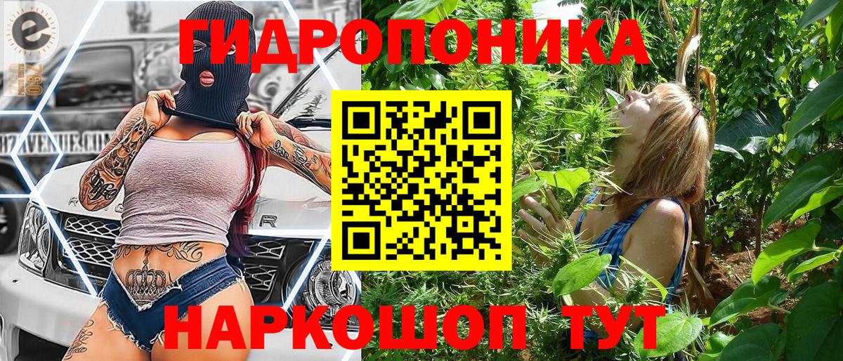 Севастополь  Конопля планчик  Бошки Шишки план  Марихуана планчик  Шишки марихуана марихуана  Вход с VPN 